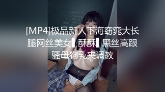 [MP4]极品新人下海窈窕大长腿网丝美女▌酥酥▌黑丝高跟骚母狗乳夹调教