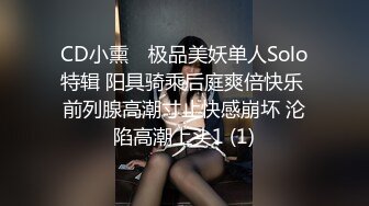 CD小熏✨ 极品美妖单人Solo特辑 阳具骑乘后庭爽倍快乐 前列腺高潮寸止快感崩坏 沦陷高潮上头1 (1)