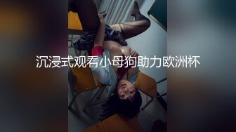 沉浸式观看小母狗助力欧洲杯