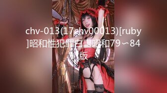 chv-013(17chv00013)[ruby]昭和性犯罪白書昭和79〜84版