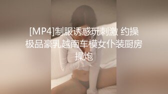 [MP4]制服诱惑玩刺激 约操极品豪乳越南车模女仆装厨房操炮