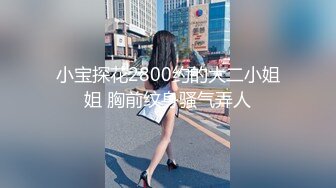 小宝探花2800约的大二小姐姐 胸前纹身骚气弄人