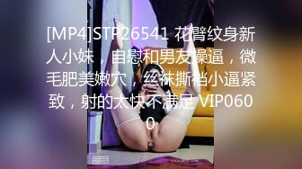 [MP4]STP26541 花臂纹身新人小妹，自慰和男友操逼，微毛肥美嫩穴，丝袜撕裆小逼紧致，射的太快不满足 VIP0600