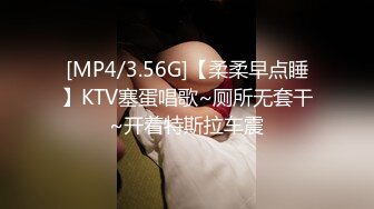 [MP4/3.56G]【柔柔早点睡】KTV塞蛋唱歌~厕所无套干~开着特斯拉车震