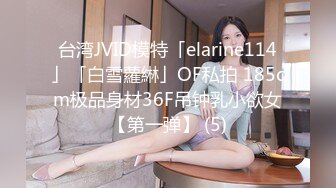 台湾JVID模特「elarine114」「白雪蘿綝」OF私拍 185cm极品身材36F吊钟乳小欲女【第一弹】 (5)