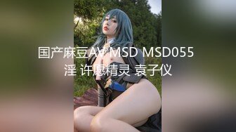 国产麻豆AV MSD MSD055 淫 许愿精灵 袁子仪