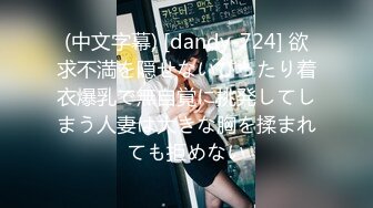 (中文字幕) [dandy-724] 欲求不満を隠せないぴったり着衣爆乳で無自覚に挑発してしまう人妻は大きな胸を揉まれても拒めない