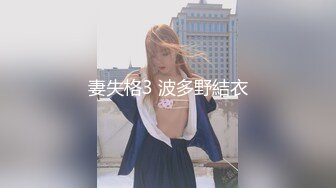 妻失格3 波多野結衣