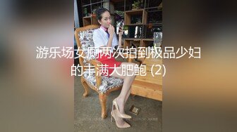 游乐场女厕两次拍到极品少妇的丰满大肥鲍 (2)