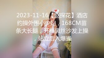 2023-11-16【赵探花】酒店约操外围小少妇，168CM苗条大长腿，开档黑丝沙发上操，站立后入爆操