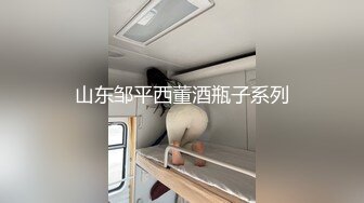 山东邹平西董酒瓶子系列